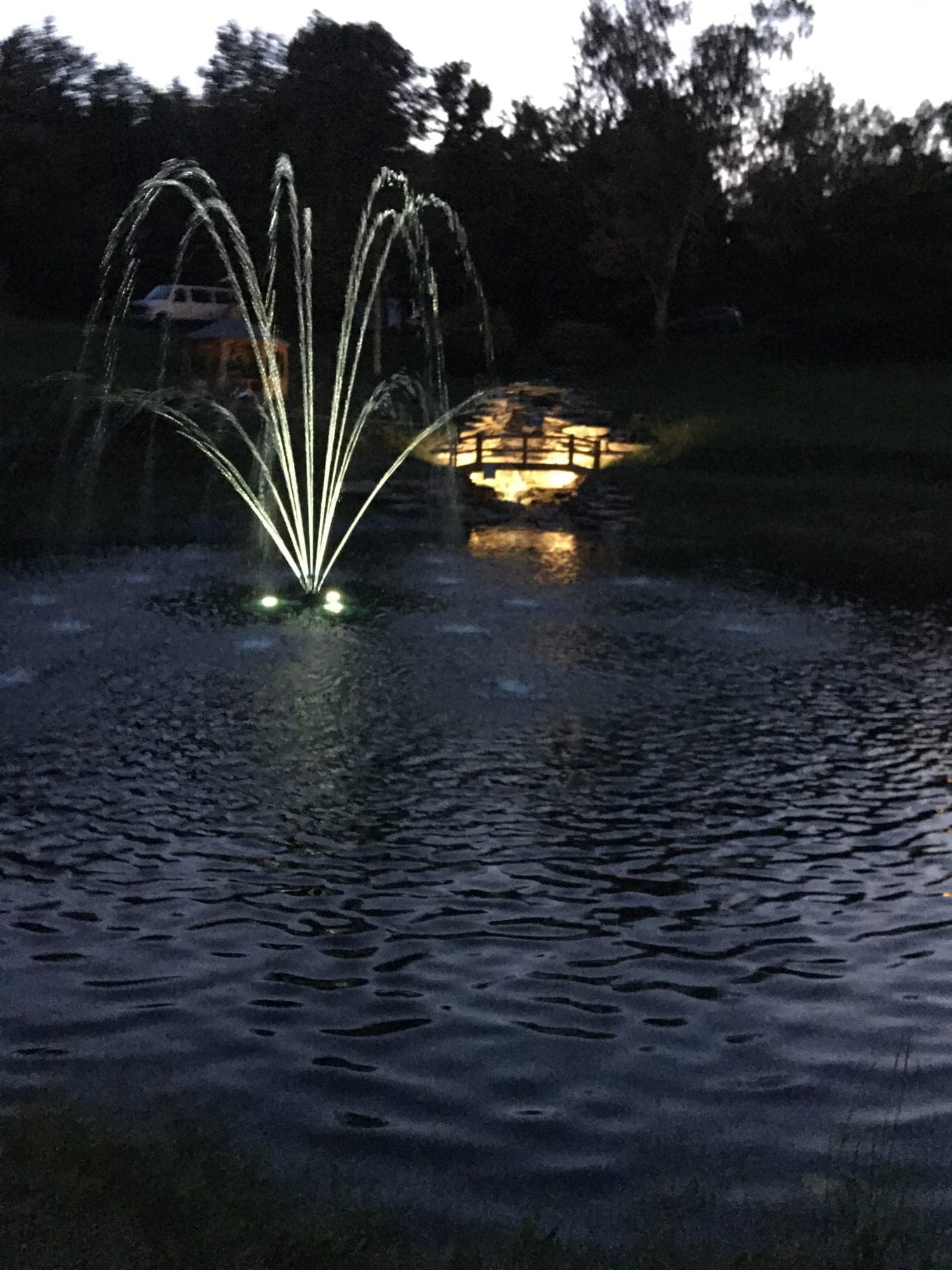 Diamond Pond project 2