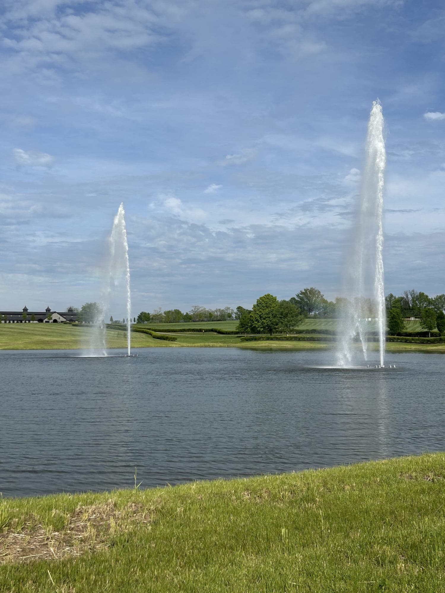 Diamond Pond project 5