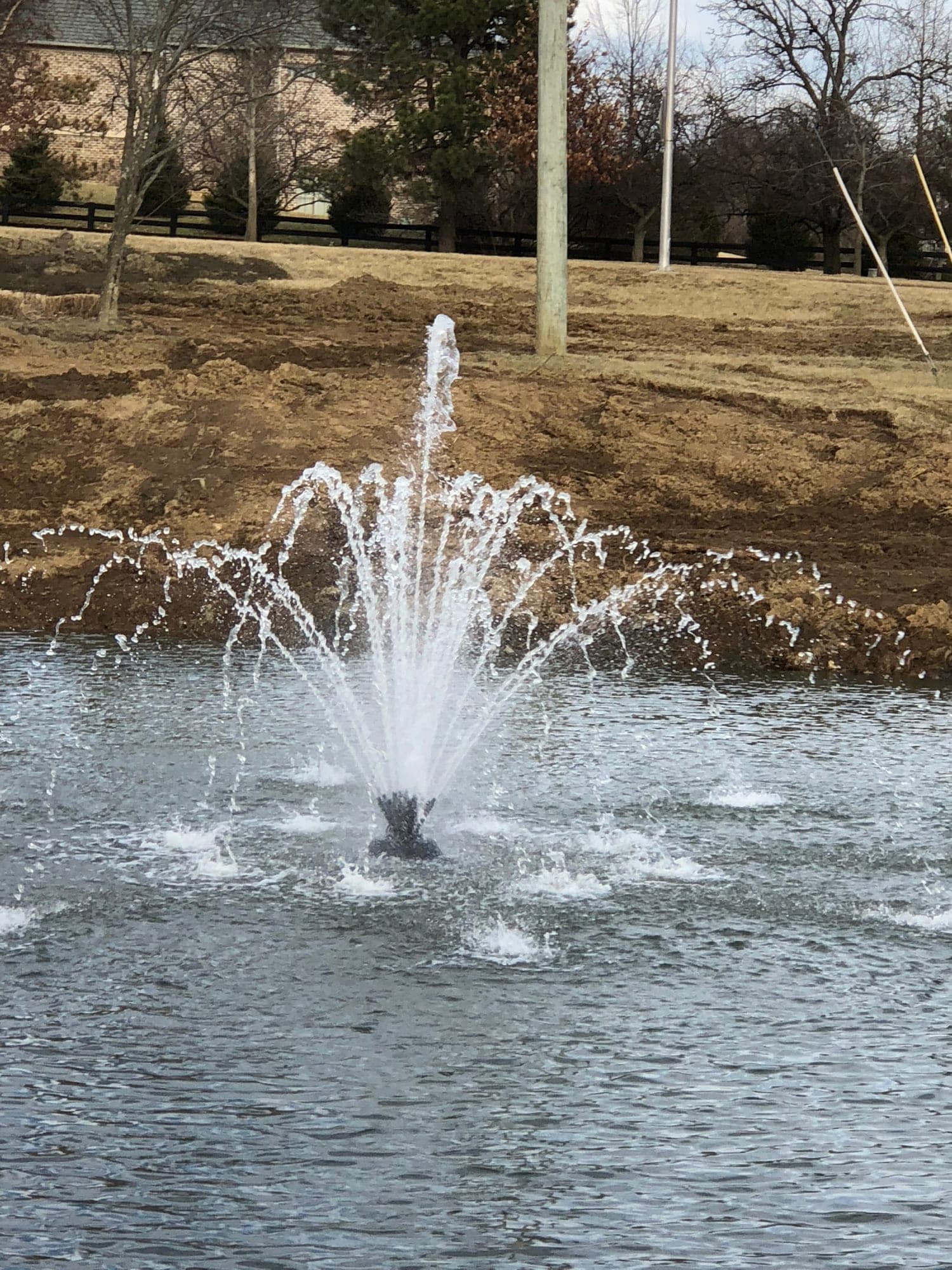 Diamond Pond project 17
