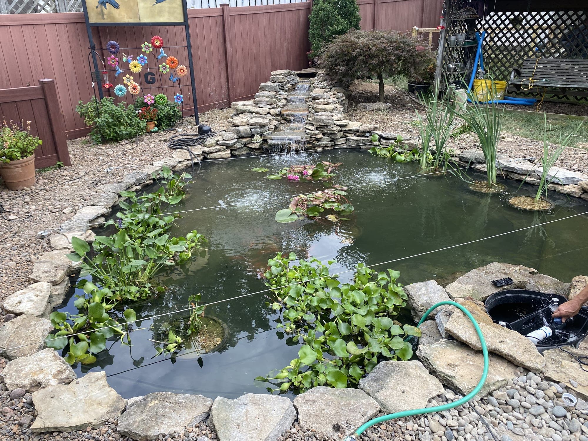 Diamond Pond project 6