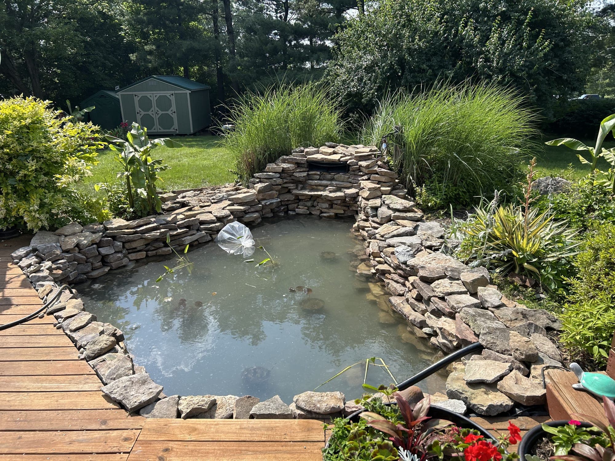 Diamond Pond project 10