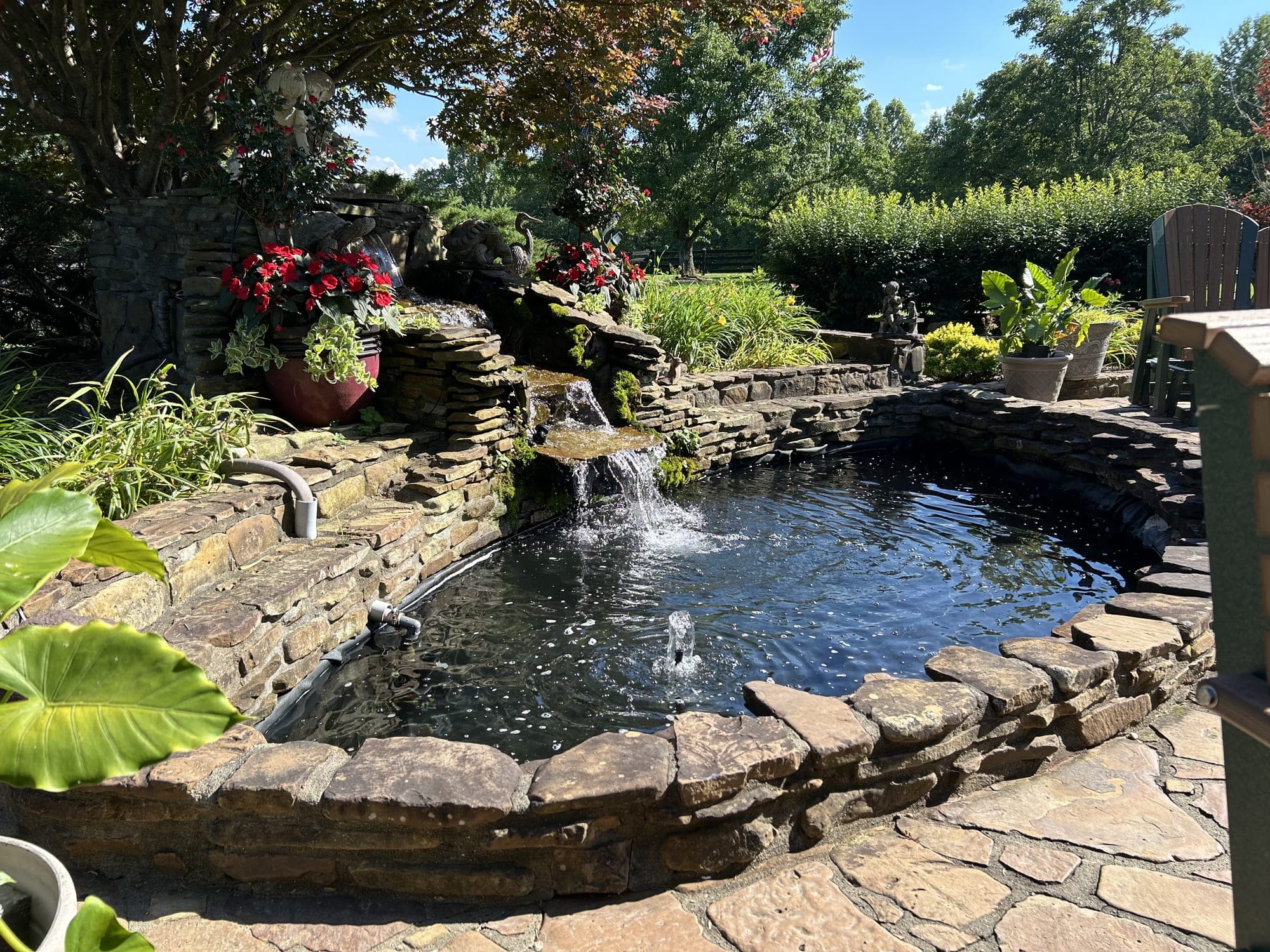 Diamond Pond project 1