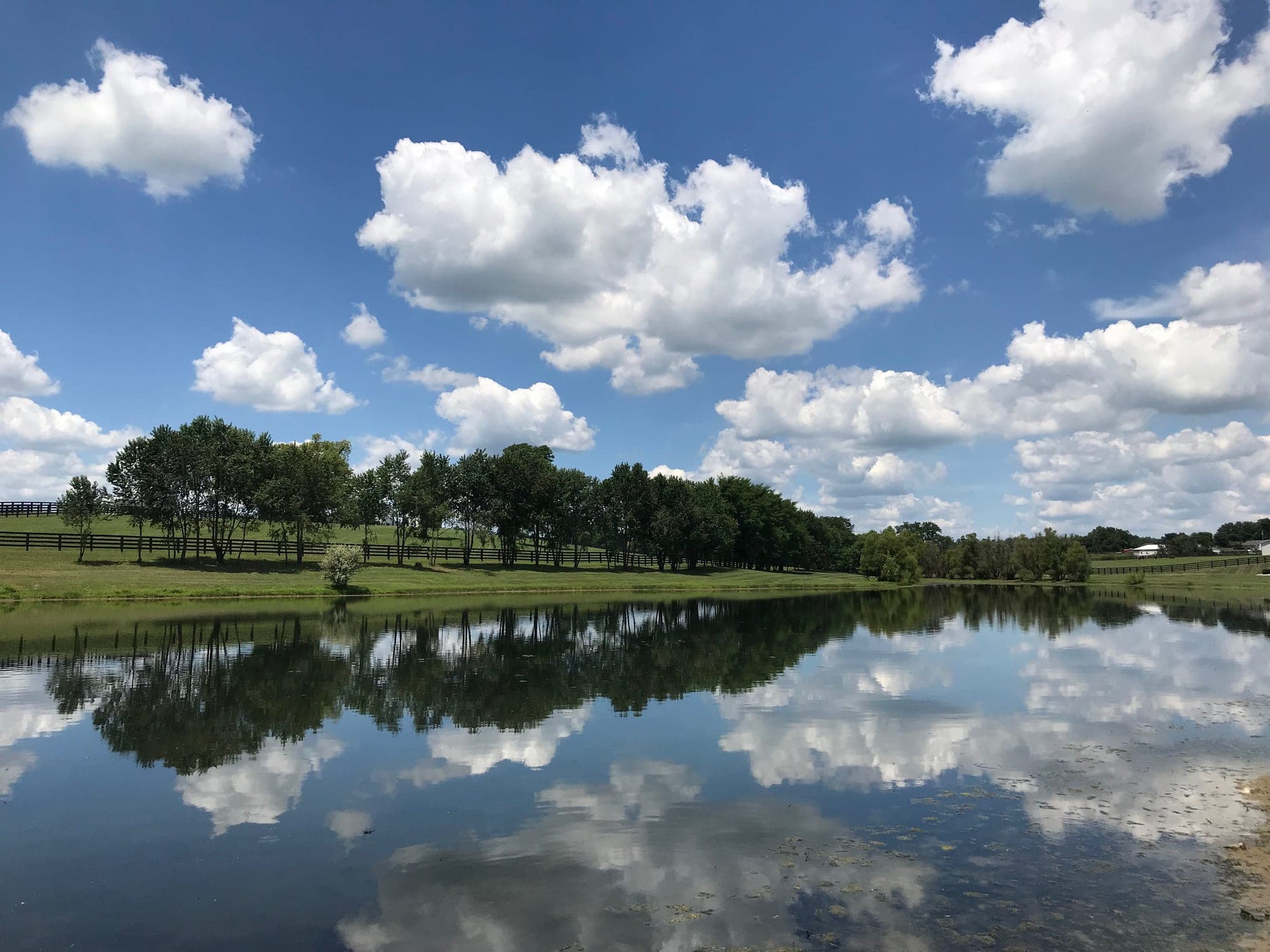Diamond Pond project 8